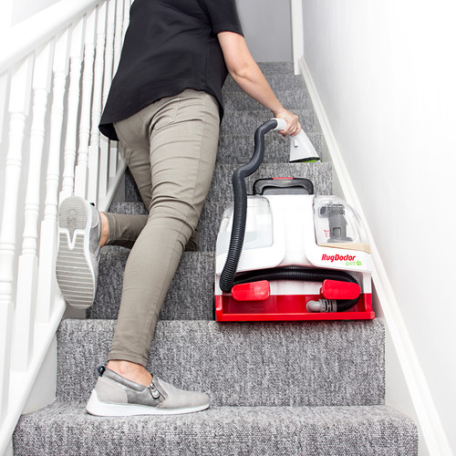 Rug doctor pet portable spot - portable,